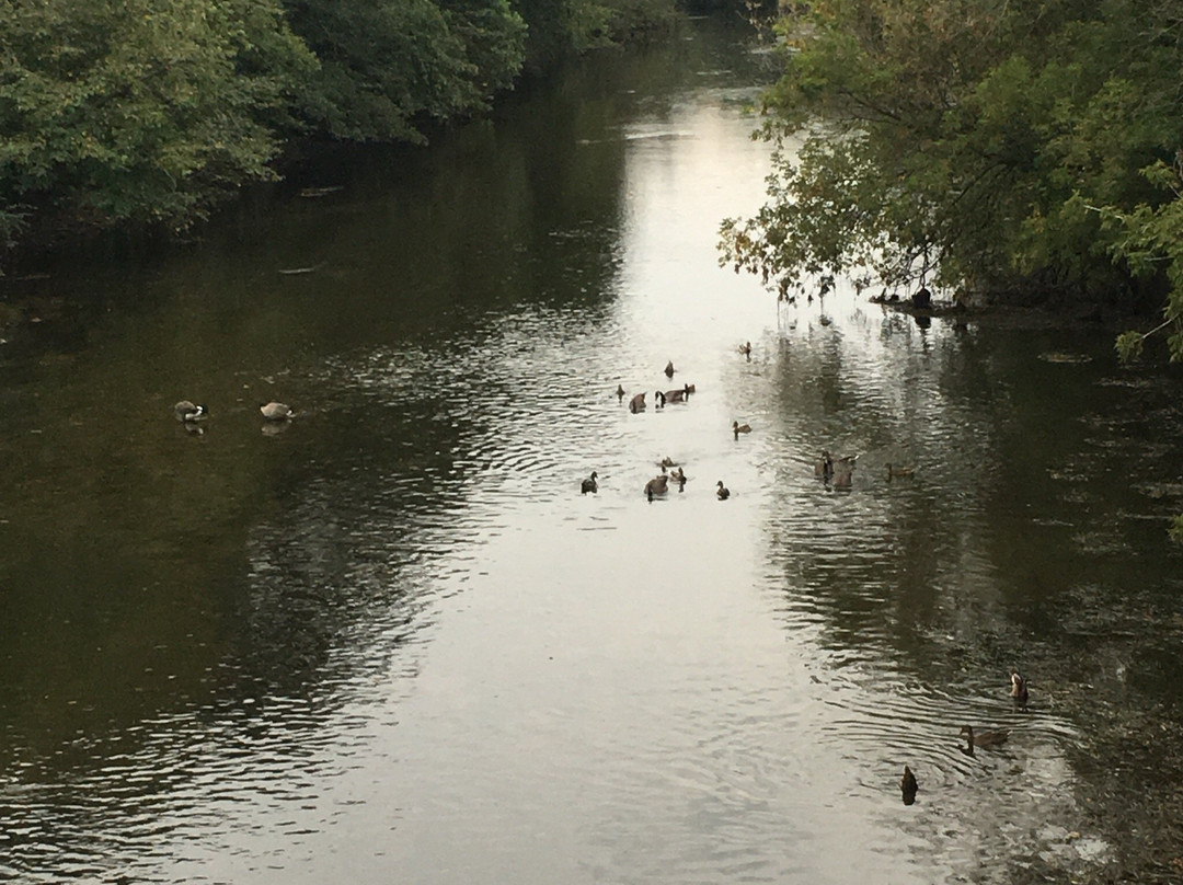 Knoch Knolls Nature Center景点图片