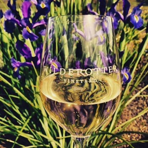 Wilderotter Winery景点图片