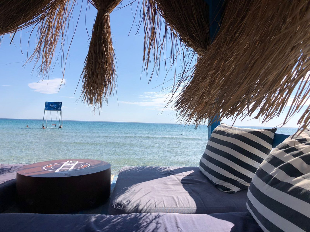Dharma Beach Club