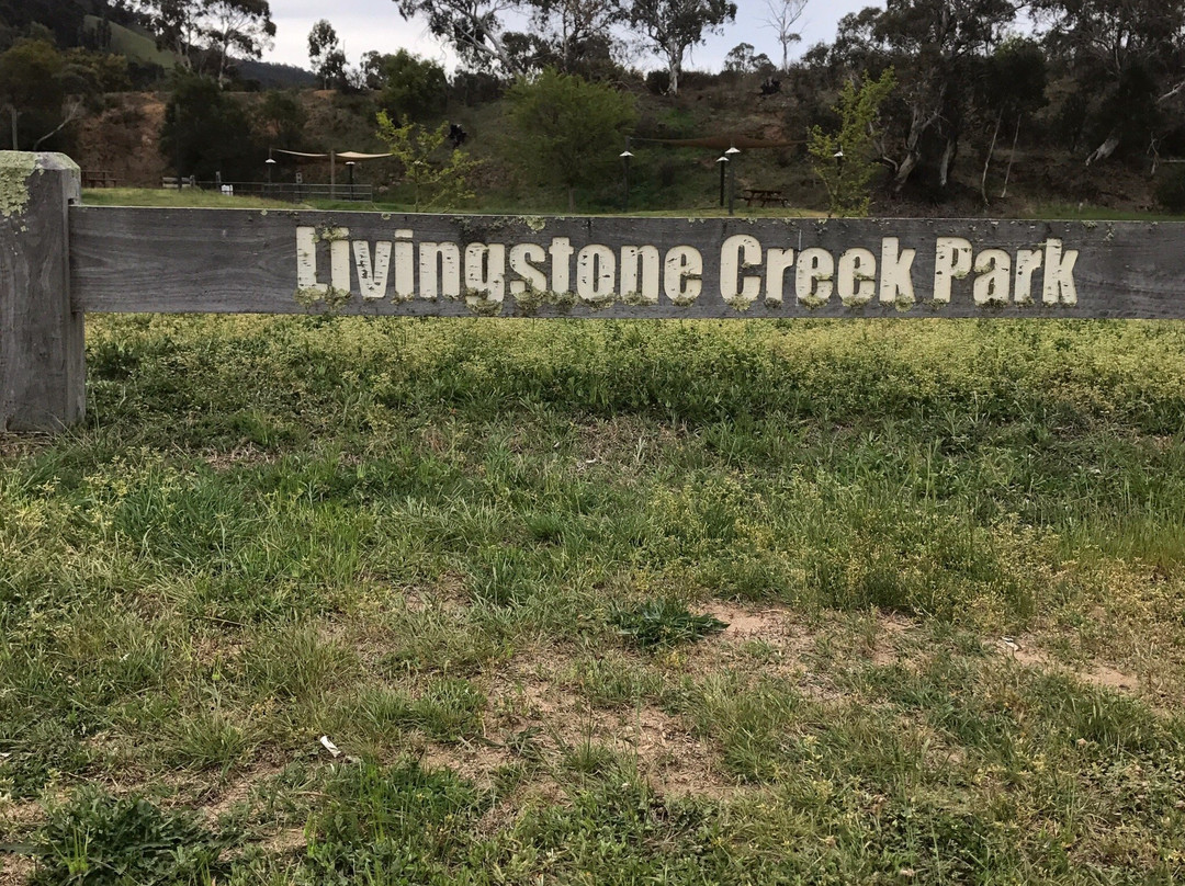 Livingstone Park景点图片