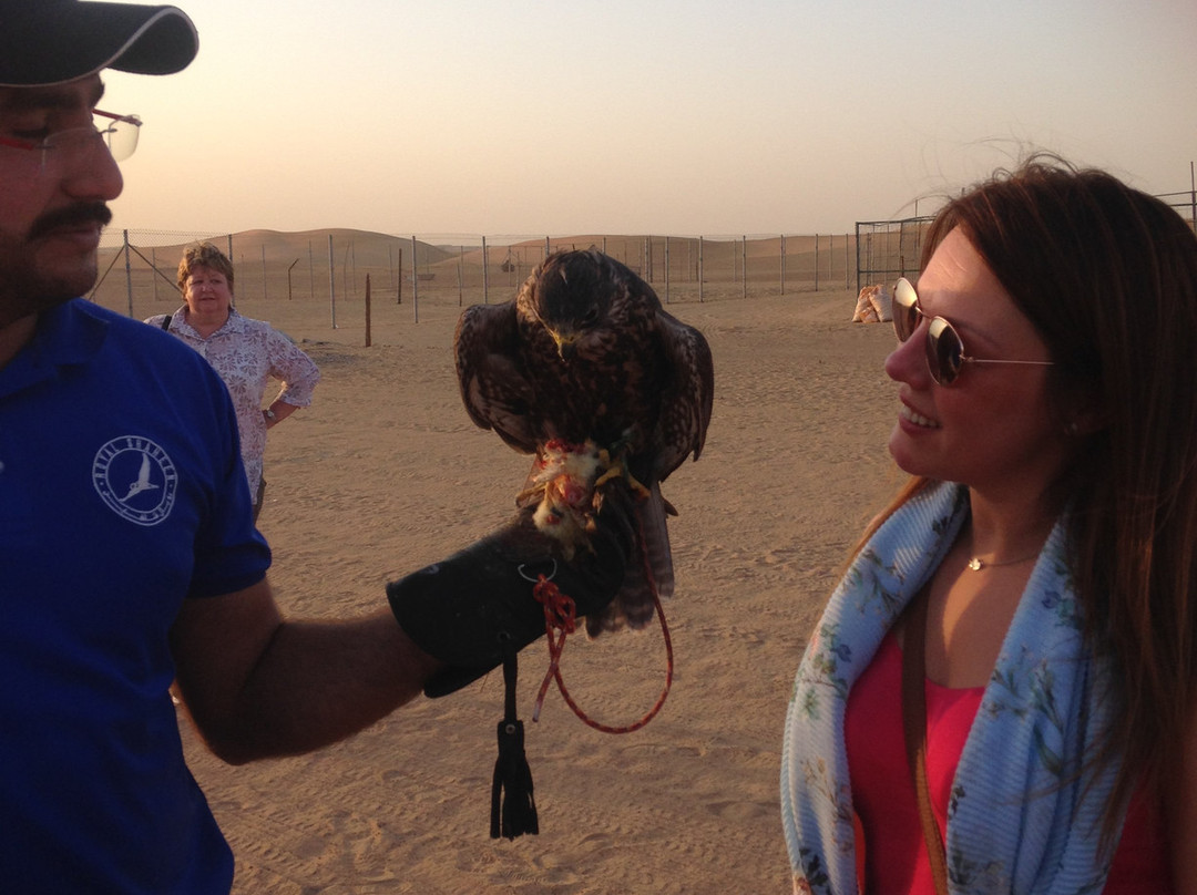 Orient Tours LLC-阿布扎比必去景点