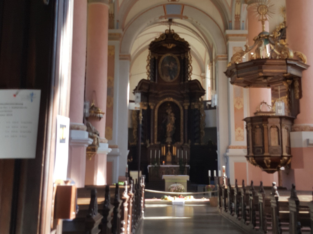 Karmeliterkirche St. Josef景点图片
