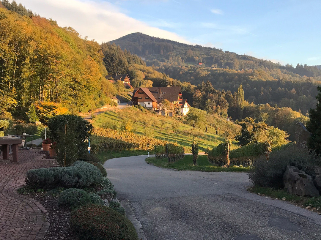 RelaxHotel Tannenhof主图