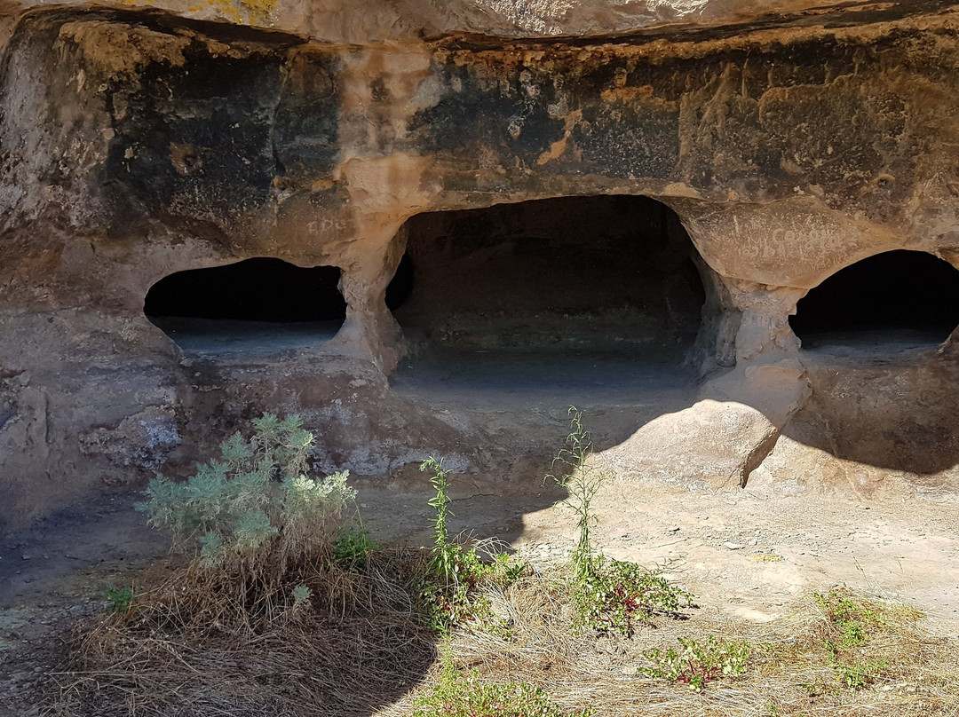 Necropoli di Sas Concas