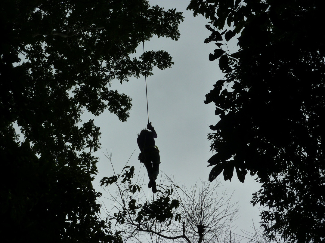 Canopy Villa Alcira-Rurrenabaque必去景点