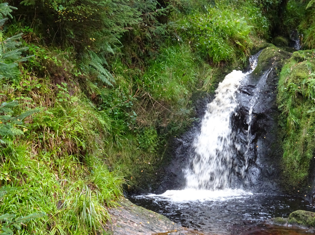 Gortin Glen Forest Park景点图片