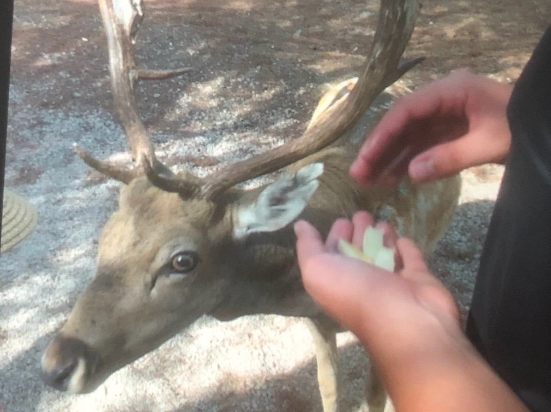 Parque Mata Da Conceicao-null必去景点