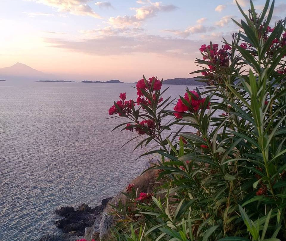 Sunrise Hotel Ammouliani主图