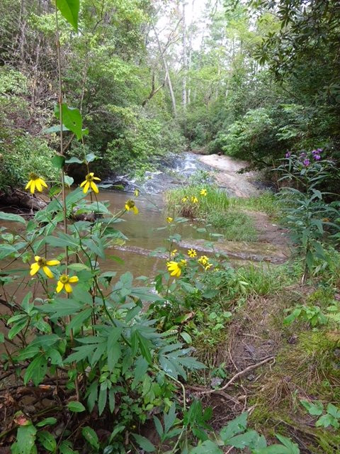 Dick's Creek Falls-Lumpkin必去景点