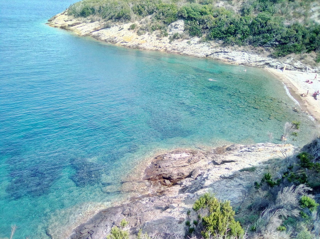 Spiaggia Di Buzzancone o Cera景点图片