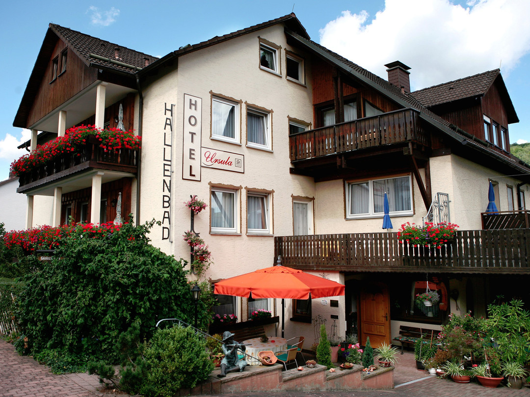 Hotel Ursula Bad Bruckenau主图