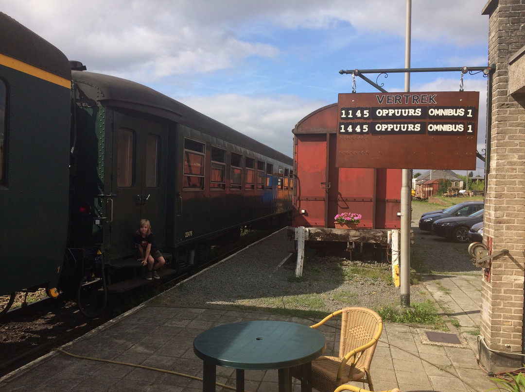 Steam Train Dendermonde-Puurs景点图片