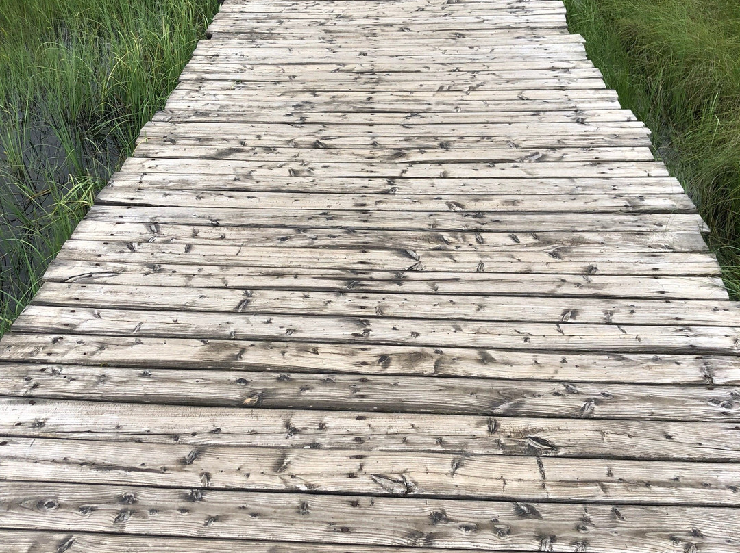 七星湖-围场县必去景点