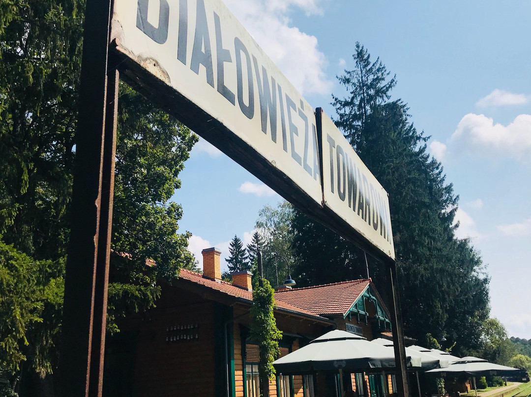 Bialowieskie Drezyny-Bialowieza必去景点