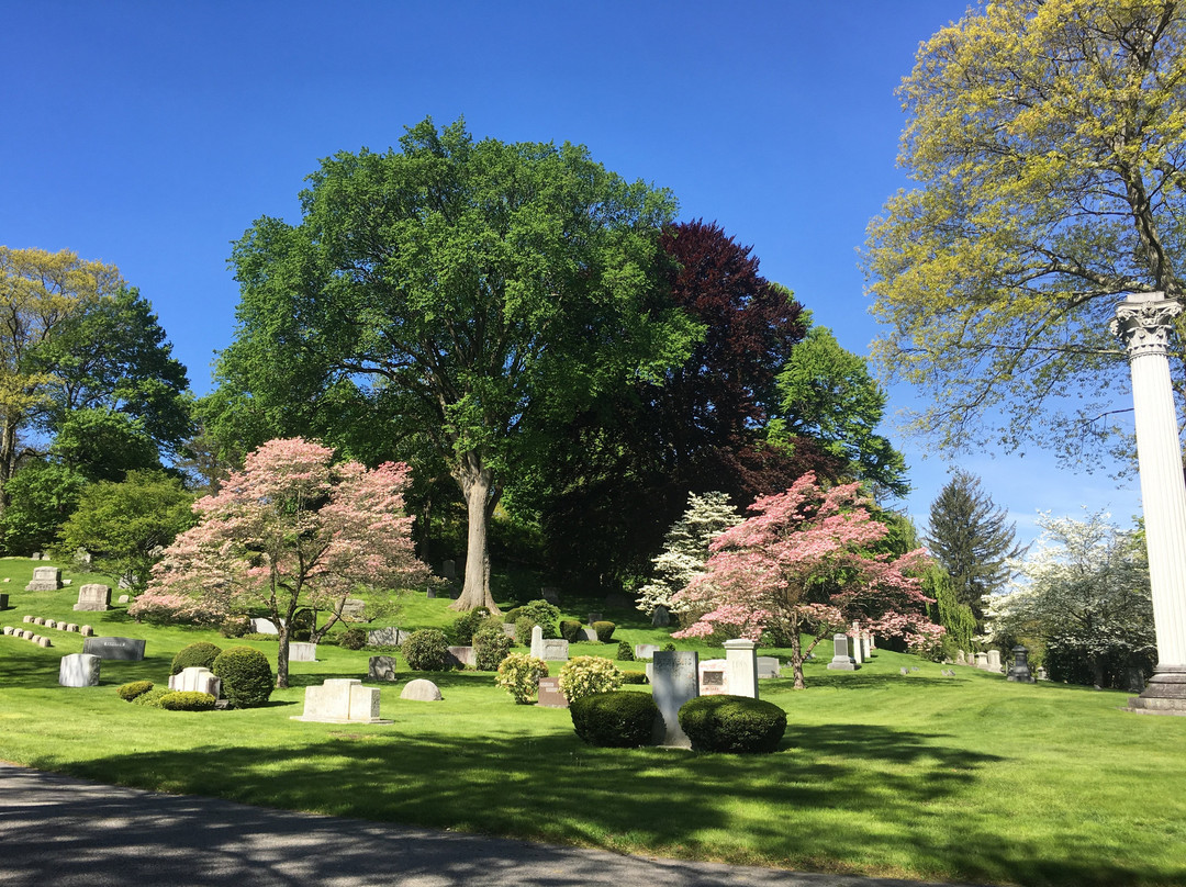 Newton Cemetery景点图片