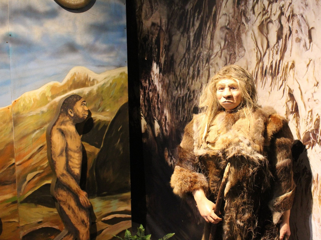 Centrum Neandertalczyka景点图片