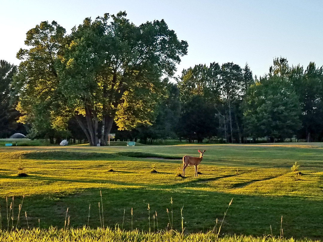 Northernaire Resort主图