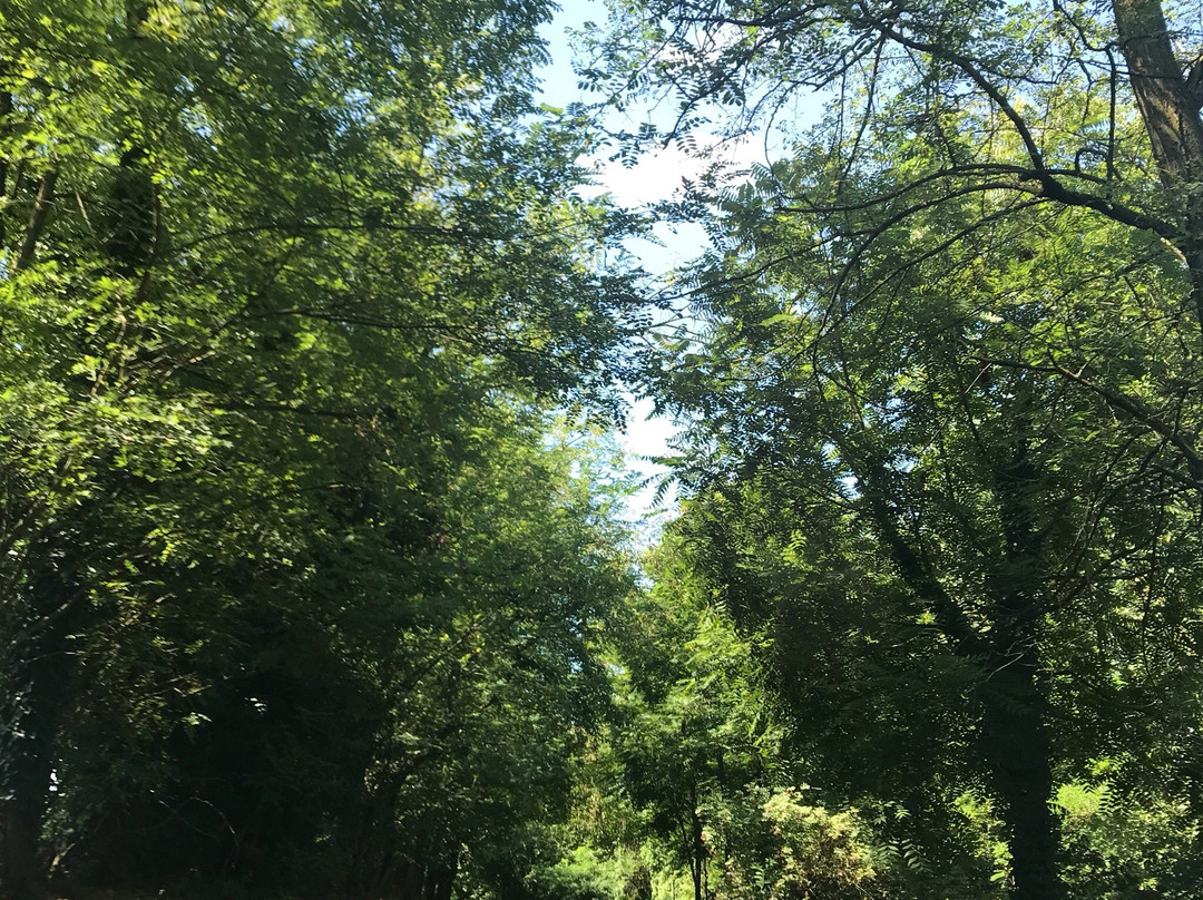 Centro Ippico Duca Dell'Adua-Robecco sul Naviglio必去景点