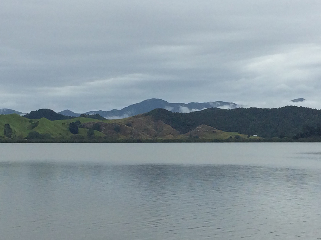 Hokianga Ferry景点图片