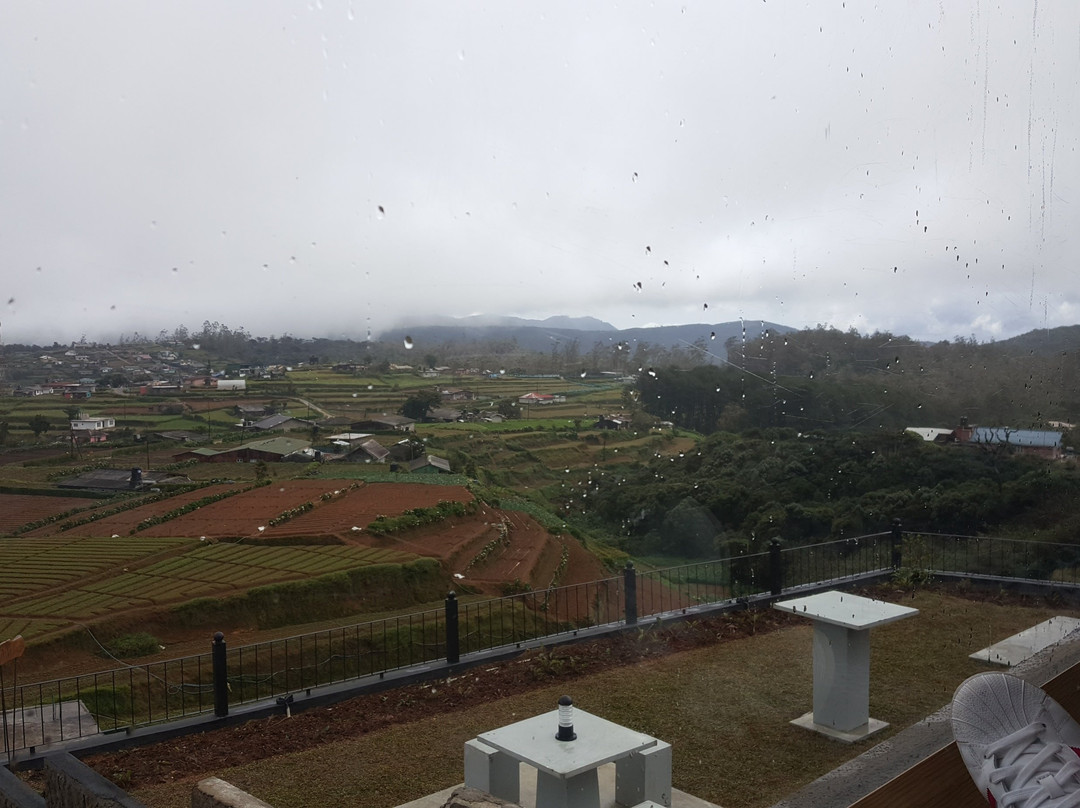 The Forest and Lake by Schofieldshire主图