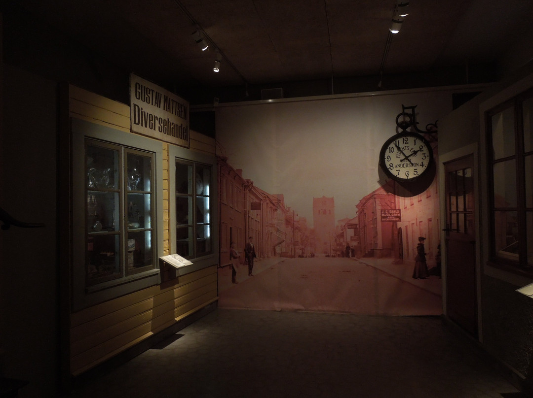 Smålands Museum-韦克舍必去景点