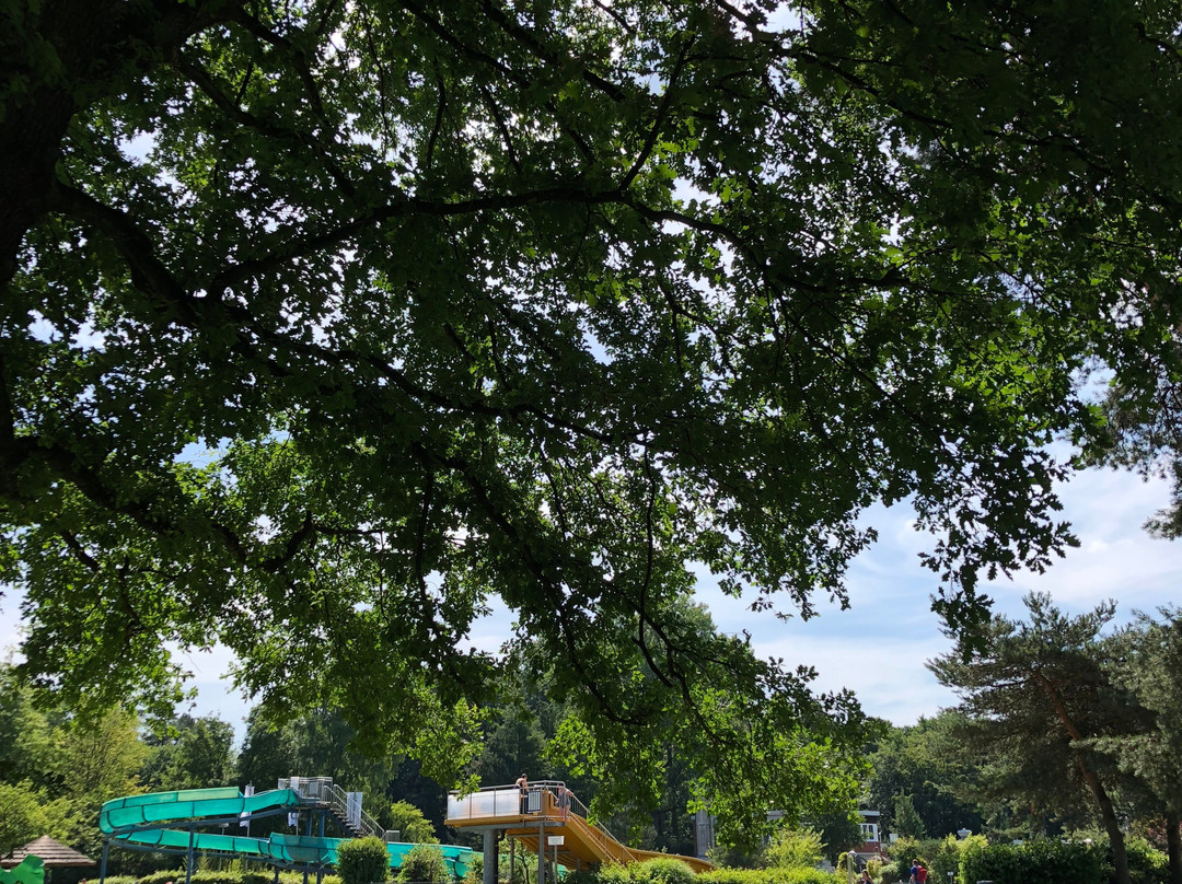 Waldbad-希尔登必去景点