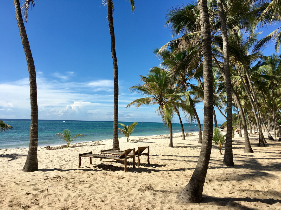Sheshe Tiwi Boutique Hideaway