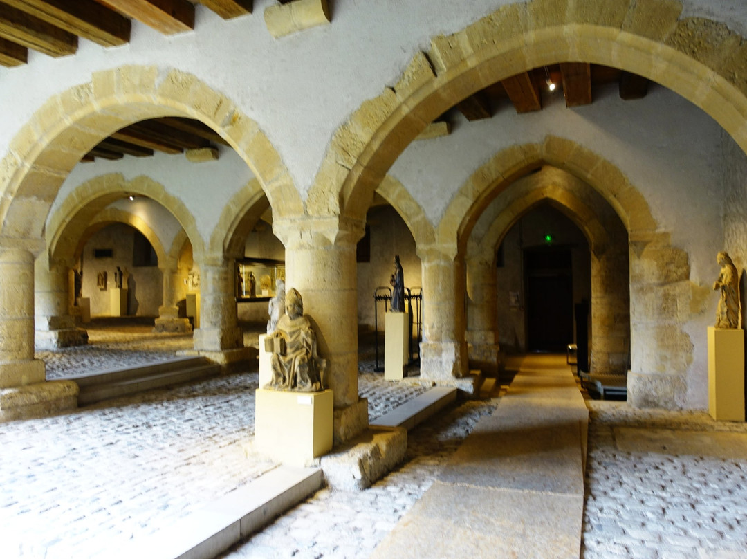 梅斯旅游景点-Museum of La Cour d'Or