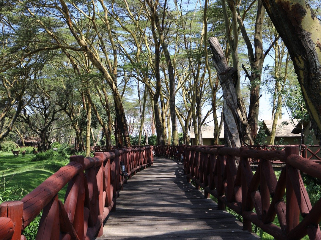 纳瓦沙湖乡村俱乐部主图