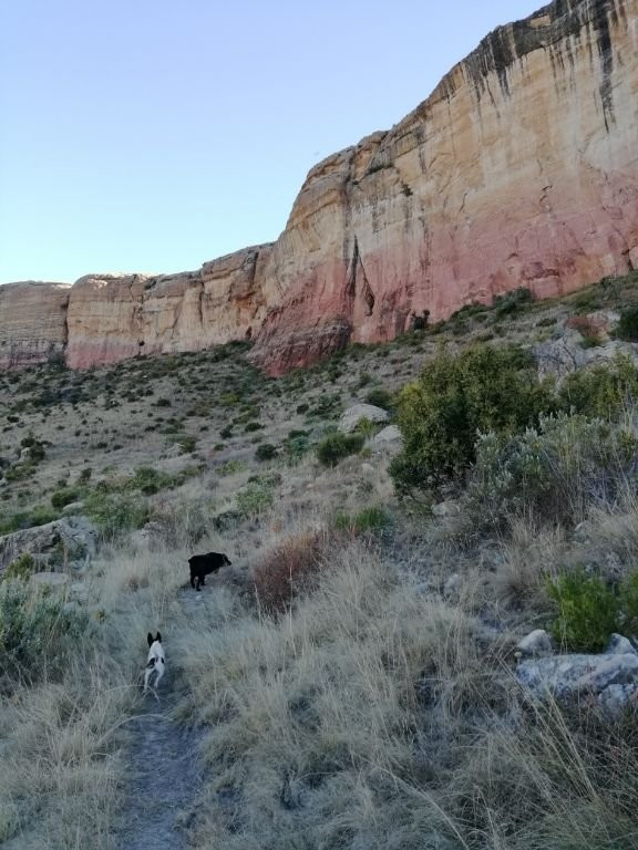 Lesoba Guest Farm主图