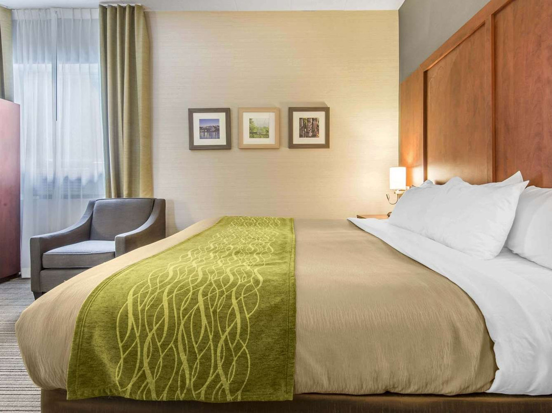 Comfort Inn & Suites Collingwood主图