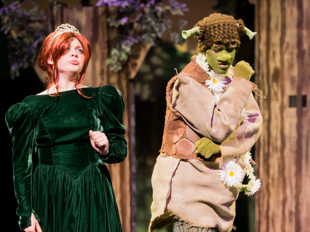 Theatre Arlington-阿灵顿必去景点