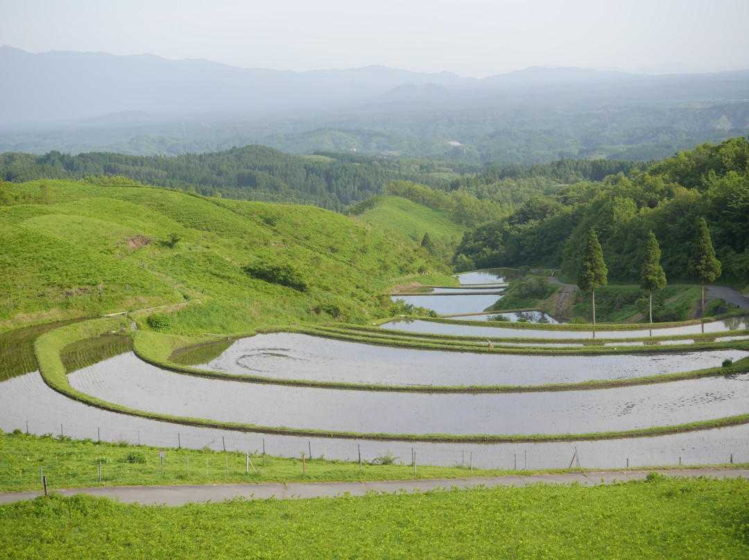 Ogi Rice Terraces景点图片