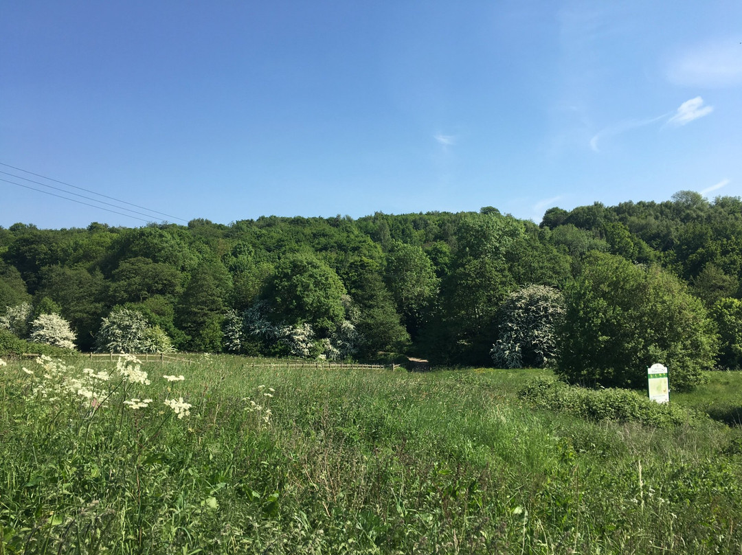 Belper Park Local Nature Reserve景点图片