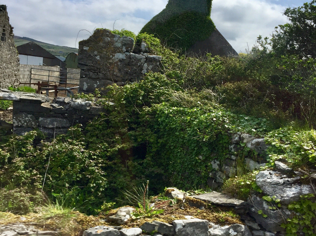 Ireland Wild Escapes景点图片