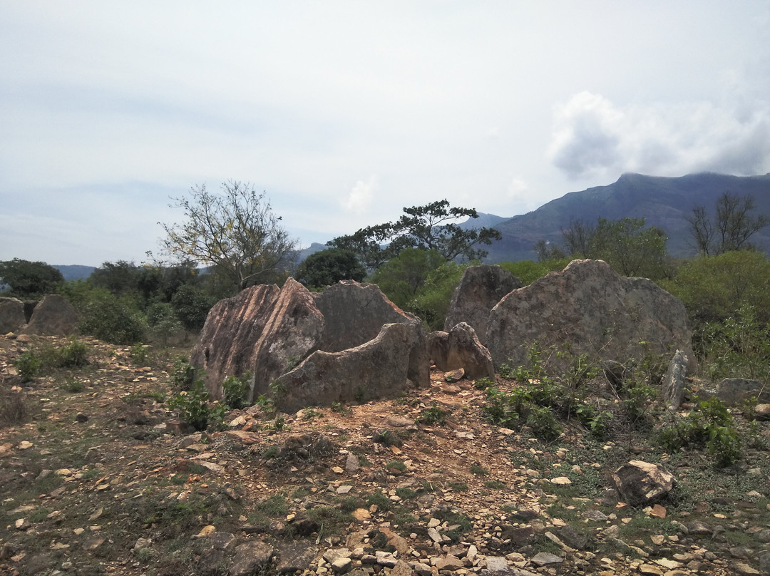 Megalithic Dolmens of Marayur景点图片