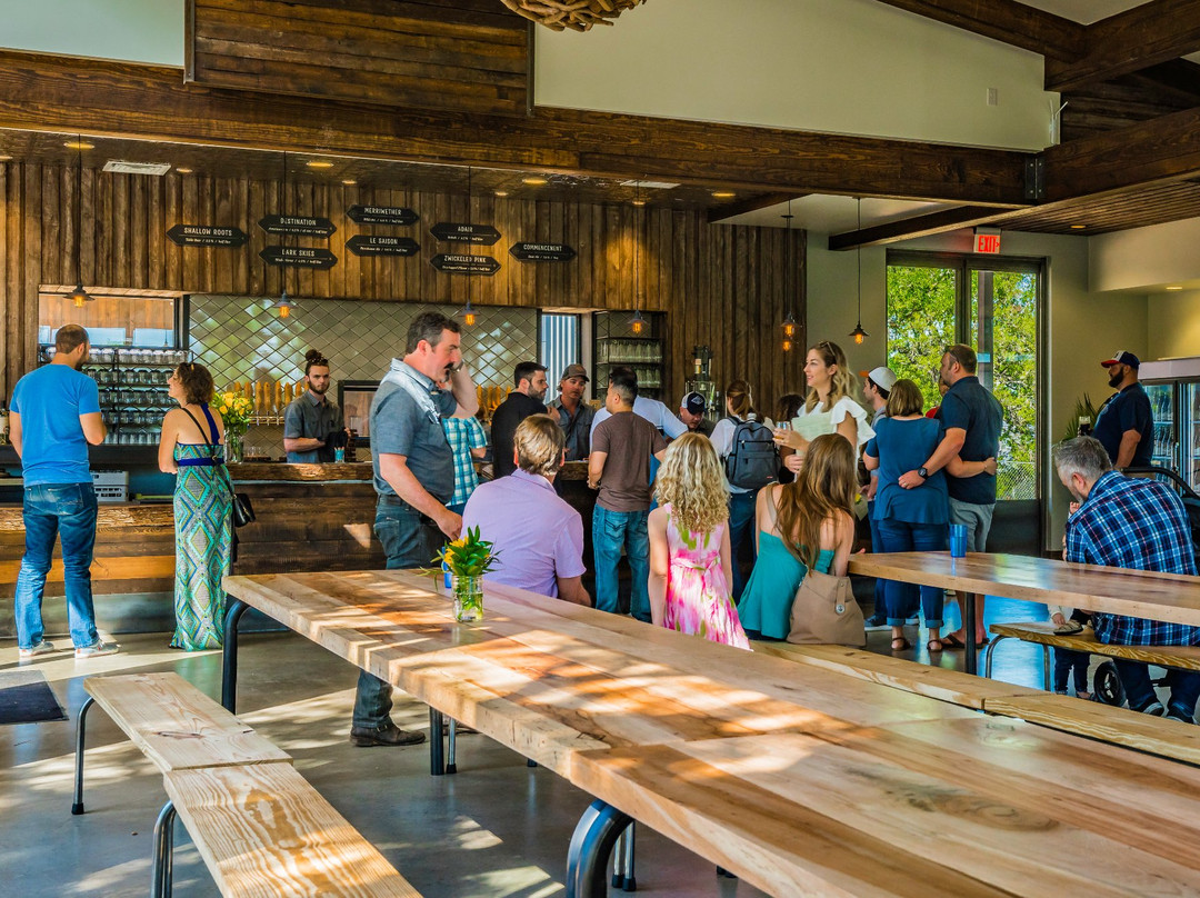 Vista Brewing-Driftwood必去景点