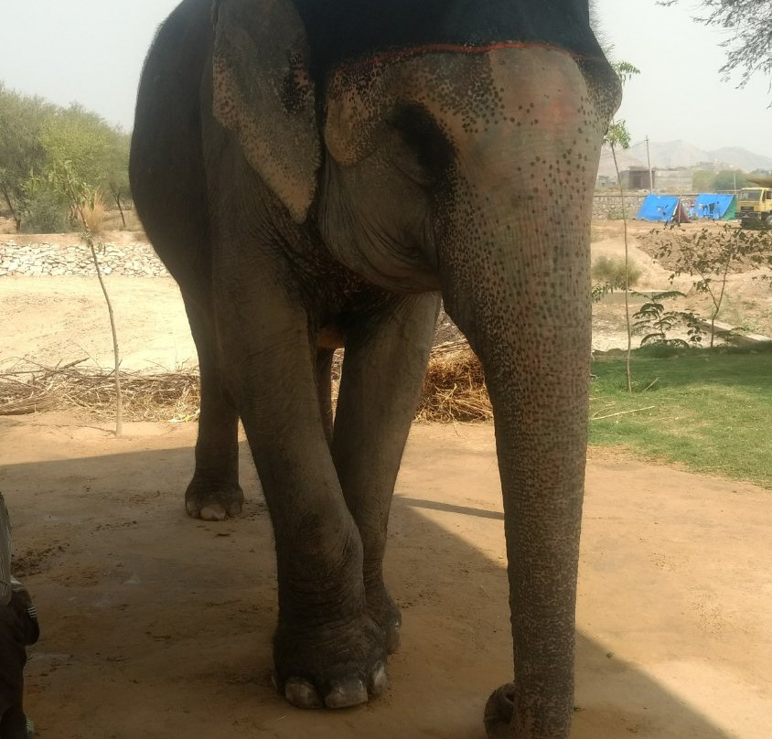 Elefuncity-Amer必去景点