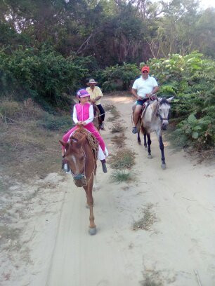 Horses Rancho Caballo De Mar景点图片