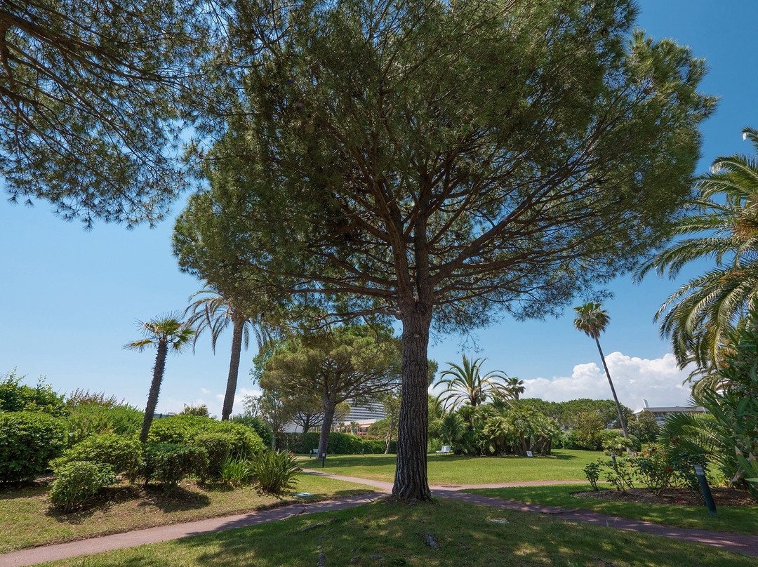 Hotel Bahia, Villeneuve Loubet主图