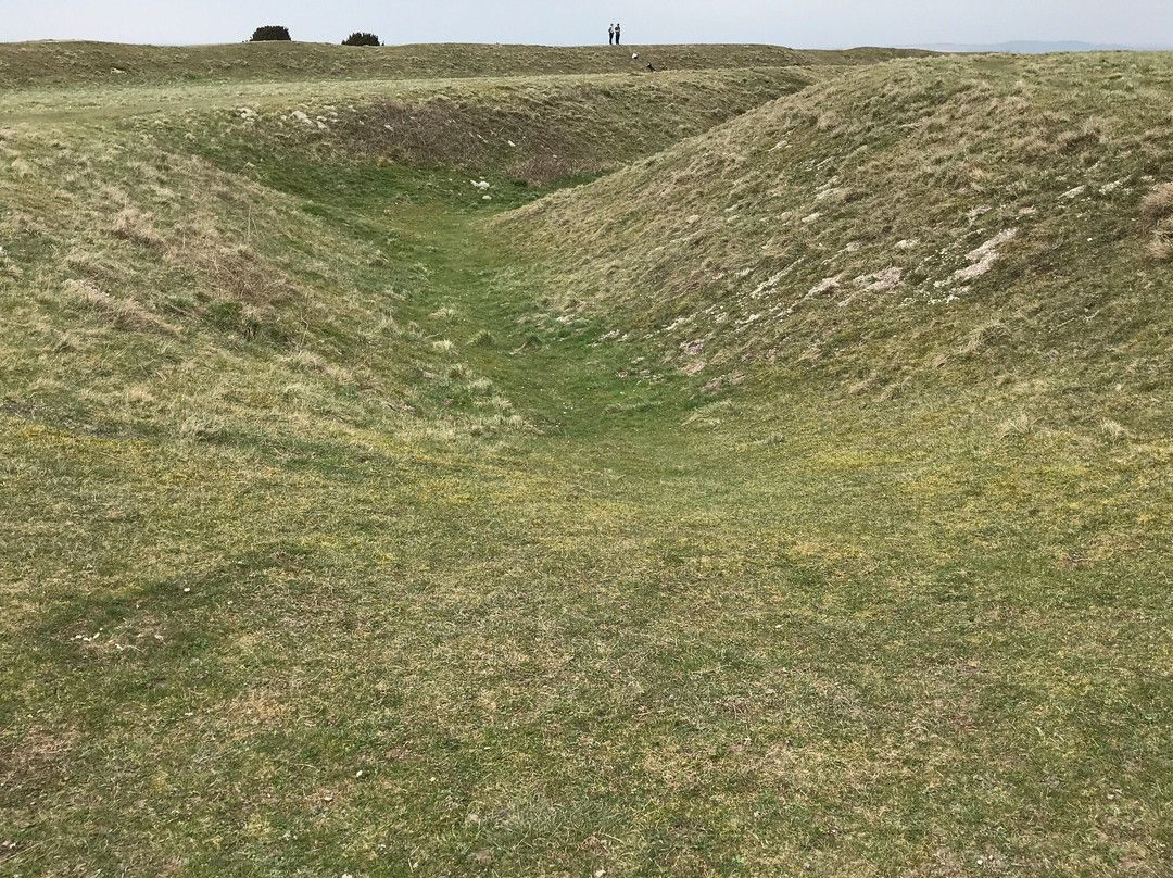 Figsbury Ring-Firsdown必去景点