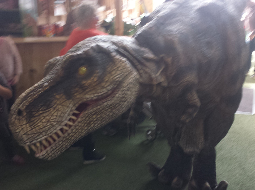 Dino Adventure Park-Weiterstadt必去景点