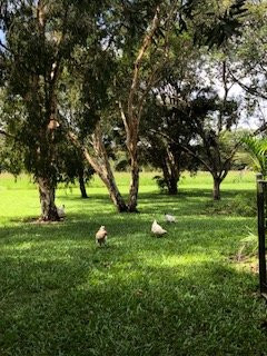 Nimbin Rocks Retreat主图