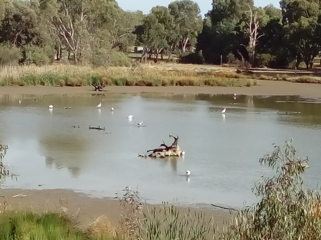 Tatura旅游攻略图片