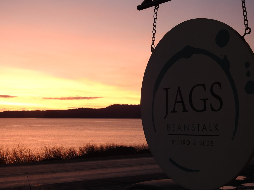 Jags Beanstalk主图