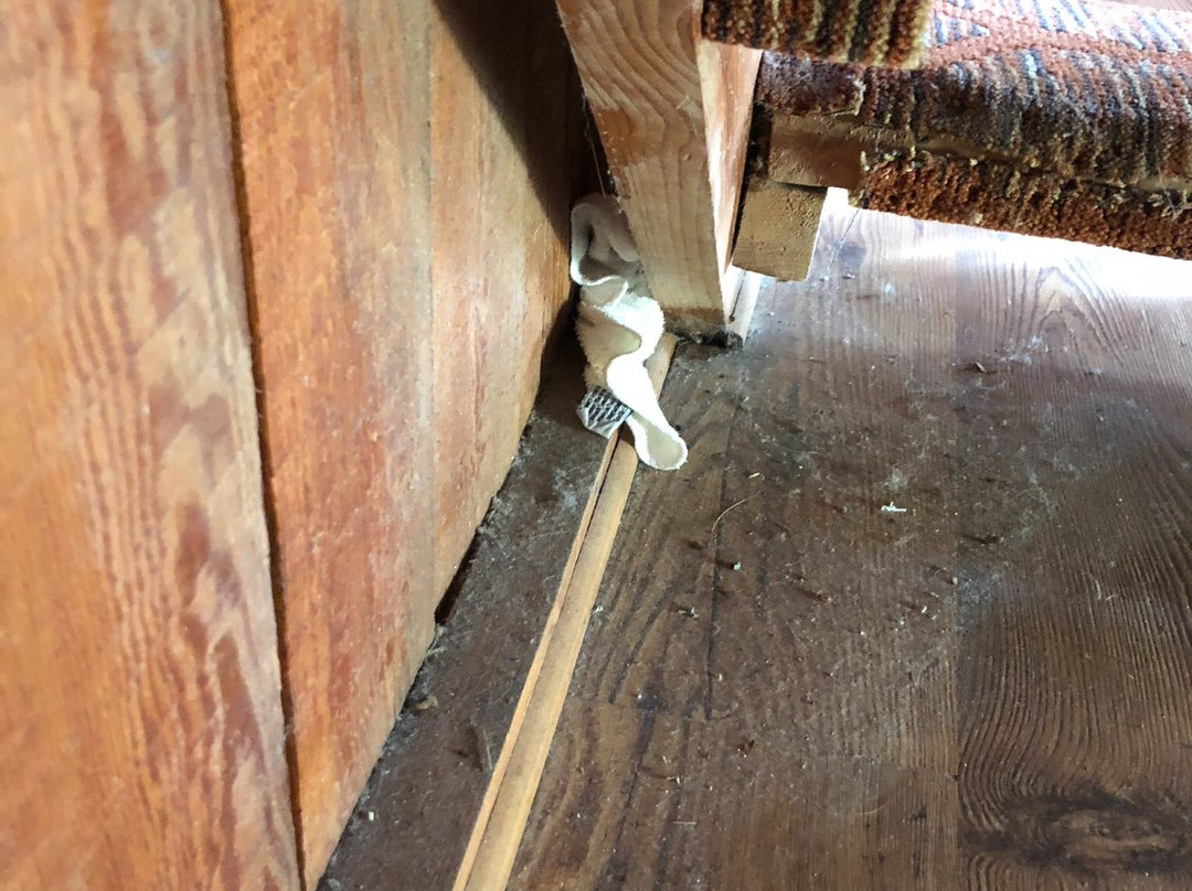 Unicoi State Park & Lodge主图