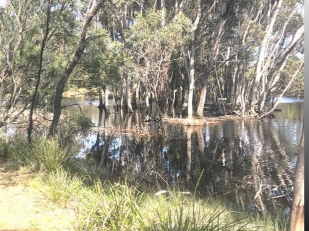 Ocean Grove Nature Reserve-Wallington必去景点