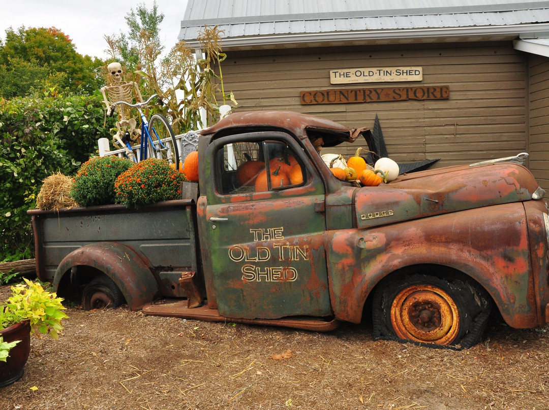 The Old Tin Shed-班克罗夫特必去景点