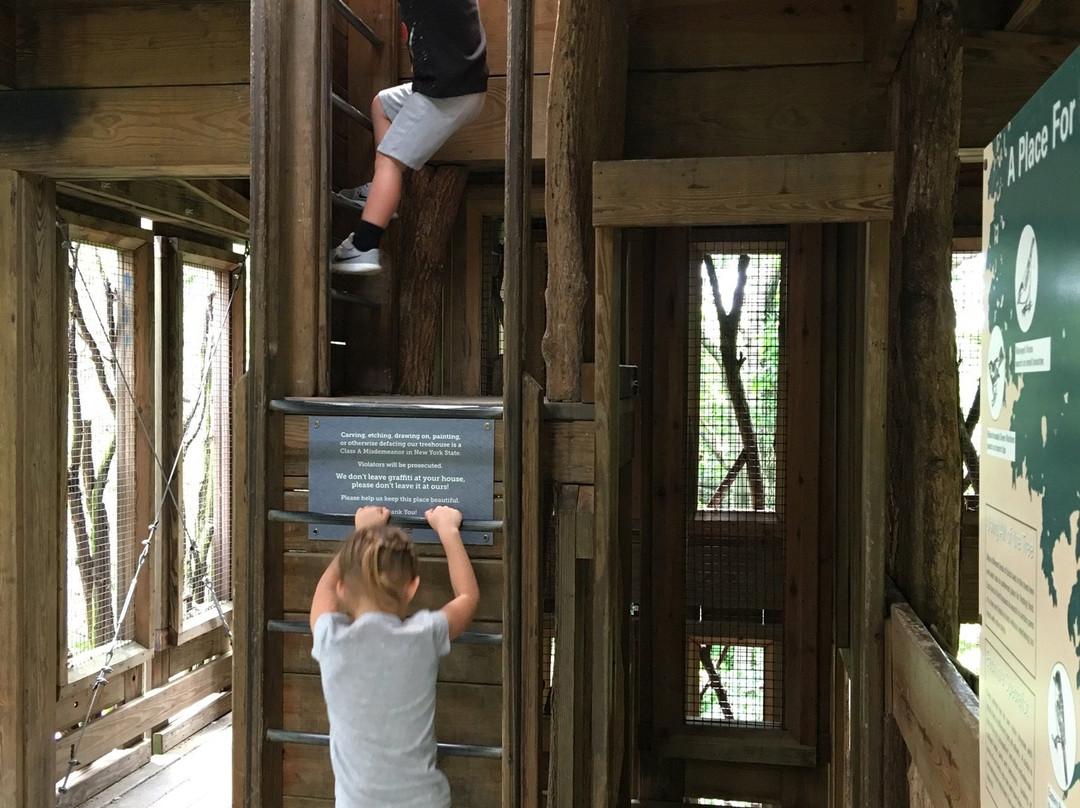 Cayuga Nature Center景点图片