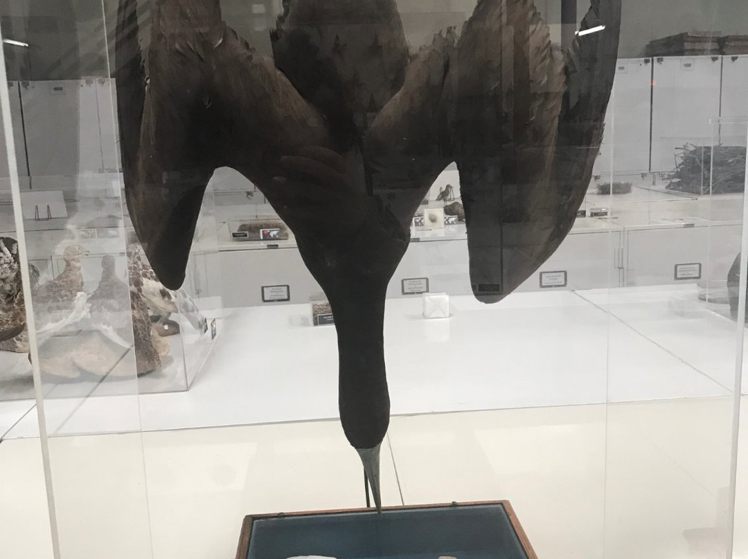 The Western Foundation of Vertebrate Zoology-卡马里奥必去景点